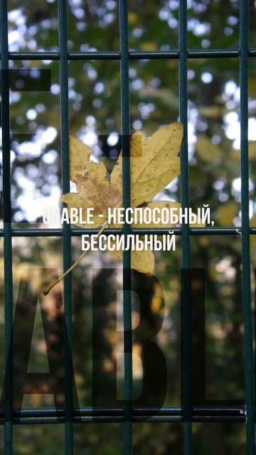 Слова на букву U