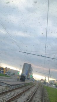 Друзья всех с Великой Победой .С Праздником .
