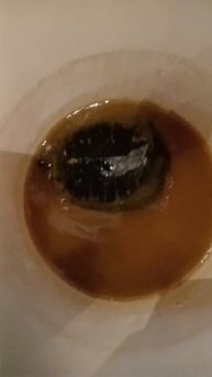 Обзор на черепаху 🐢🐢🐢🐢🐢🐢🐢