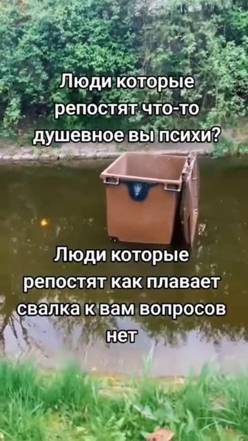 тапытипосьволытыичодэьмоы, боярышник