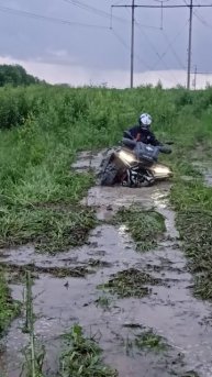 1000016384