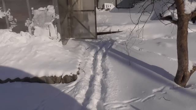 Самую морозную ночь пережили! Обзор погоды, огорода и рассады в теплице 18 апреля.