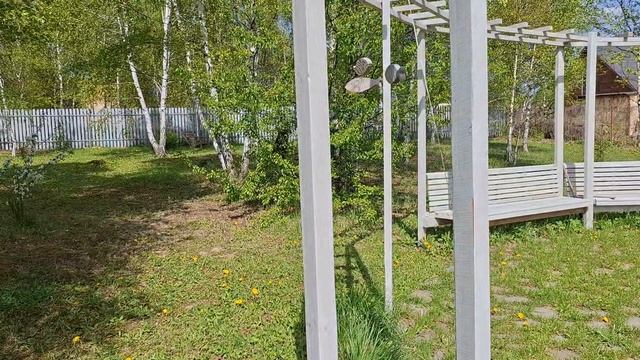 Лапчатка разочаровала. Раскрутили и закрутили.