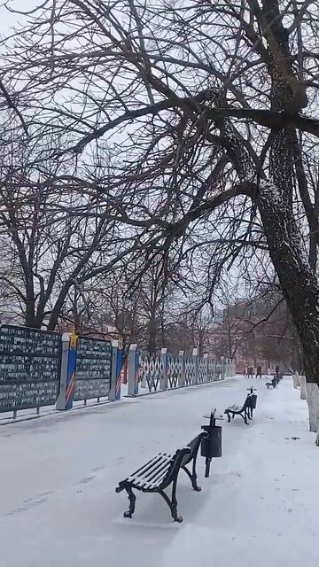Зимний Урюпинск.Аллея Славы в Сквере Павших борцов. Ид