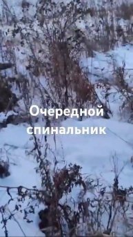 Очень нужна финансовая помощь. Карта Райффайзенбанк к