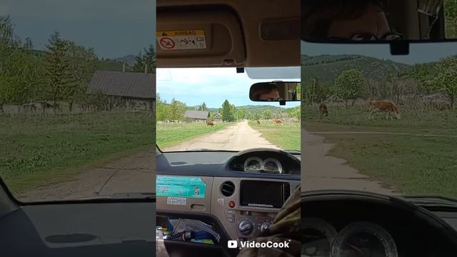 Семёновка