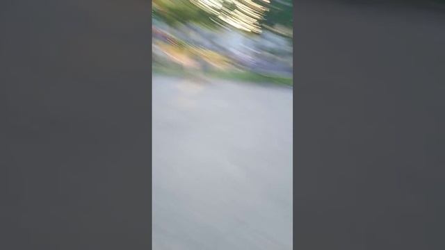 Погоня за моим надувным мячом с ананасами intex.