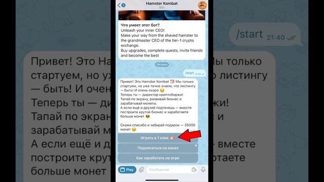 Hamster kombat простые условия накопления монет