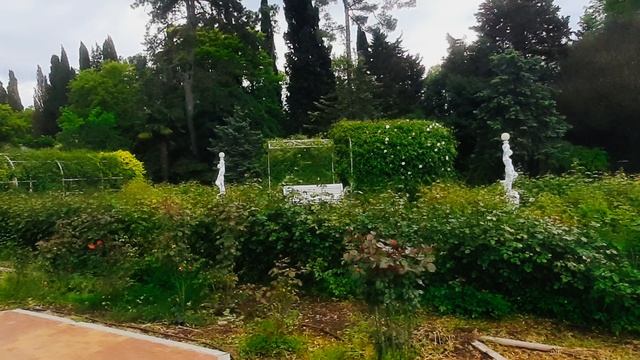 Розарий.Ривьера.Сочи.09.05.25.