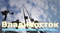 Владивосток. Рыбалка. Минтай, камбала, краб и киты Минке (малый полосатик).