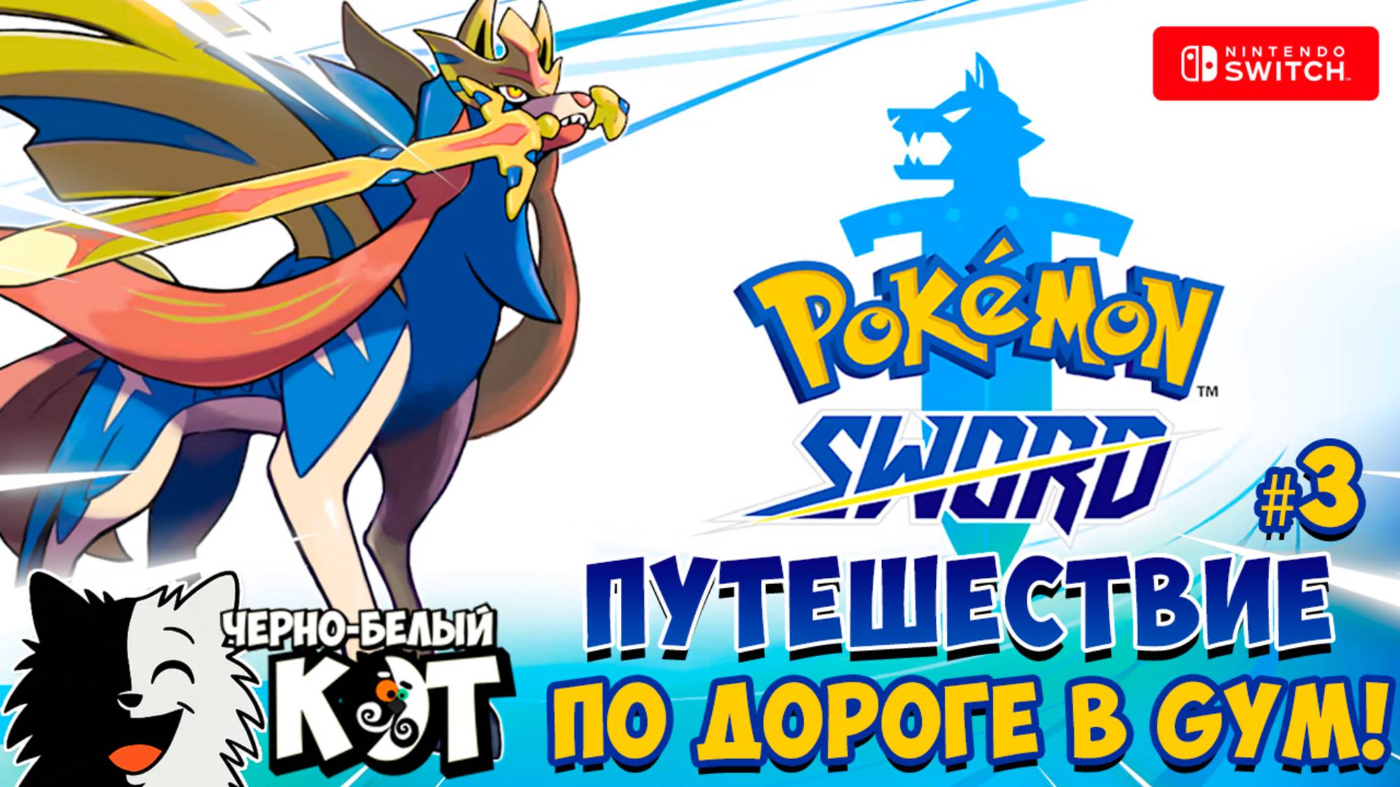 Pokemon Sword: По дороге в Gym #1!