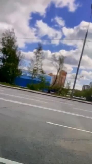 🪿На стыке Химок и Куркино у кого-то сбежал гусь и стал наводить суету на дороге🪿