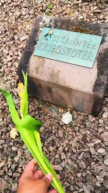 Это город Witzenhausen Германия, кладбище советских солдат, жертв гестапо.9.05.2025