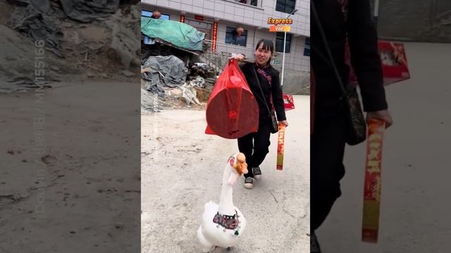 домашний гусь-помощник в хозяйстве