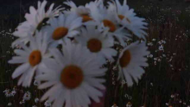 музыка для души 🌸