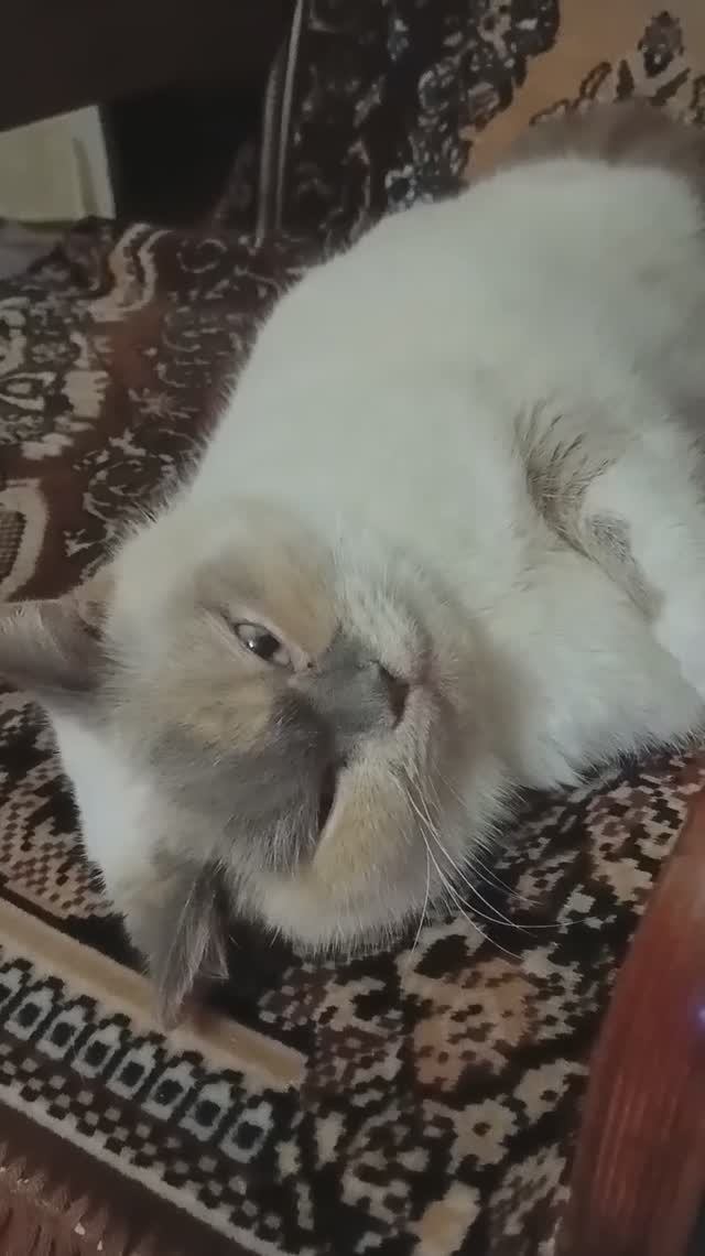 Девушка с характером...