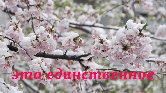 Цитата о любви красивые слова о прекрасном