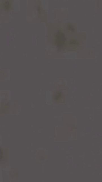 МЕМ