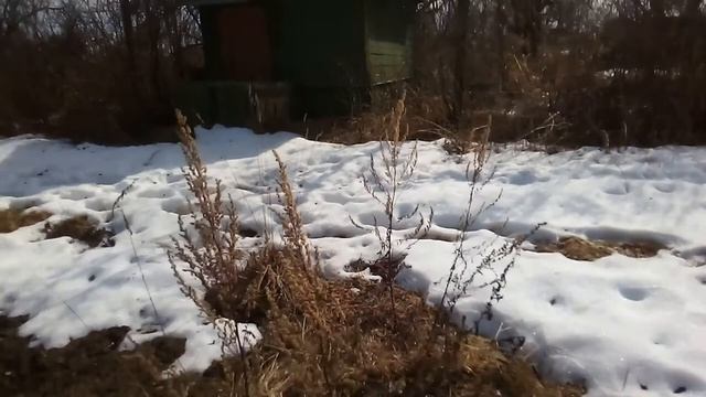 Надурило ветром