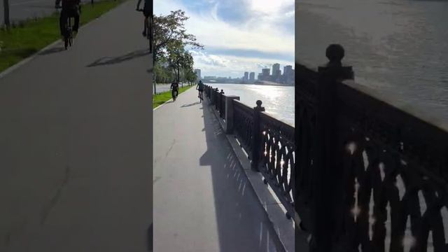 Свобода это когда есть выбор. Пассивный доход на Форек