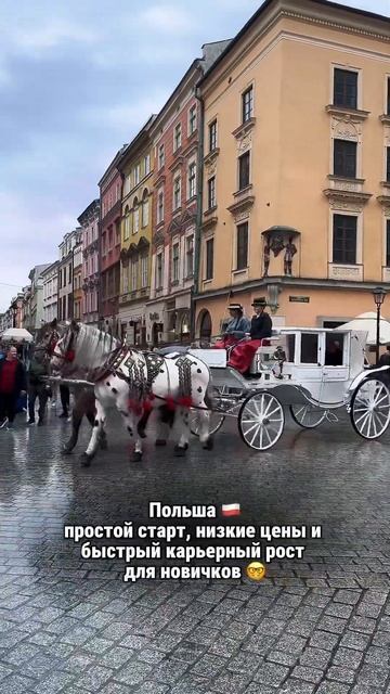 📲 Реальный опыт, работающие схемы, личные истории — в