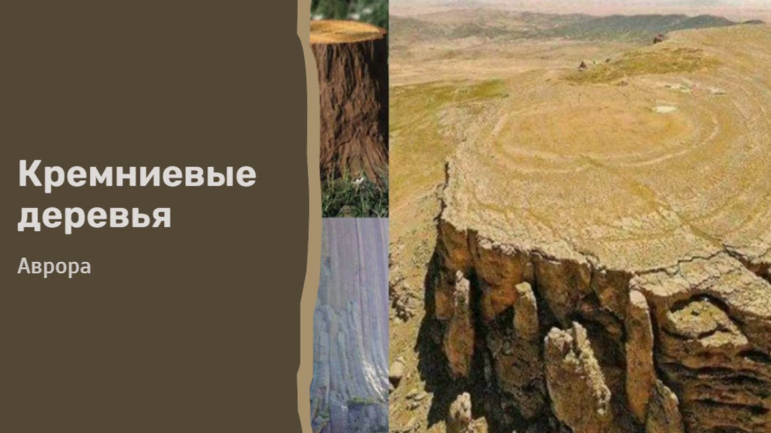 ТАРО #гадание Кремниевые деревья