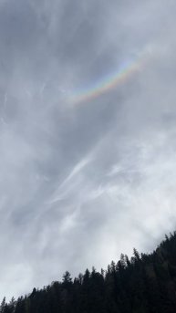Что-то необычно красивое встретилось нам на пути🌈🙃.