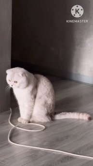 😸👍