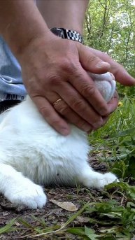 Встретил доброго кота #сталкпозаброшке #сталк #заброшено #кот #котики #котик