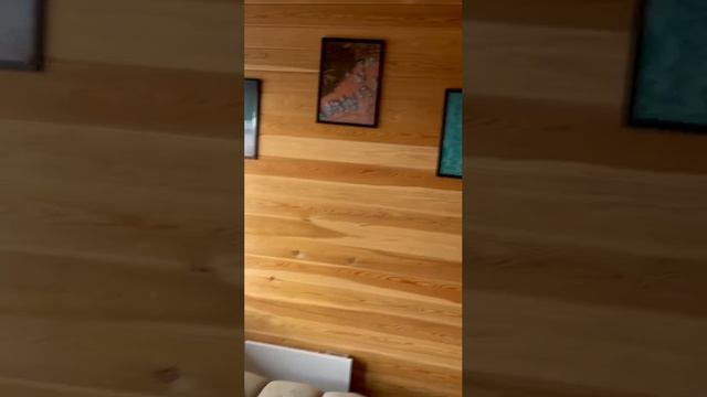 1000003895.mp4