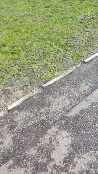 Красноярск, закладка аллеи героев