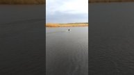 VID_20250422_174257.mp4