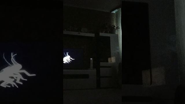 танцуем с тараканом