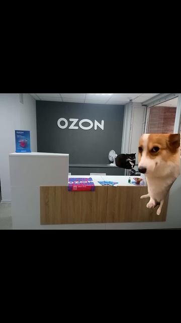 Тот самый пункт выдачи озон 1 #рекомендации  #мемы #озон