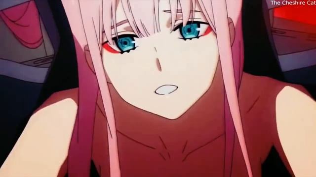 Милый во франксе【AMV】【Она моё всё】💙💙💙