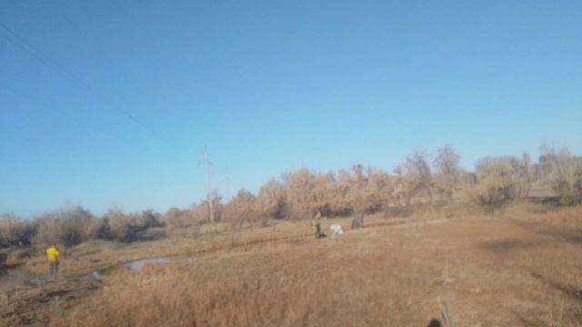 Жесткая посадка.Упал сломал руку.Кыргызстан,Бишкек,Манас