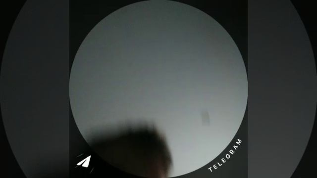 2_5256154163363999192.mp4