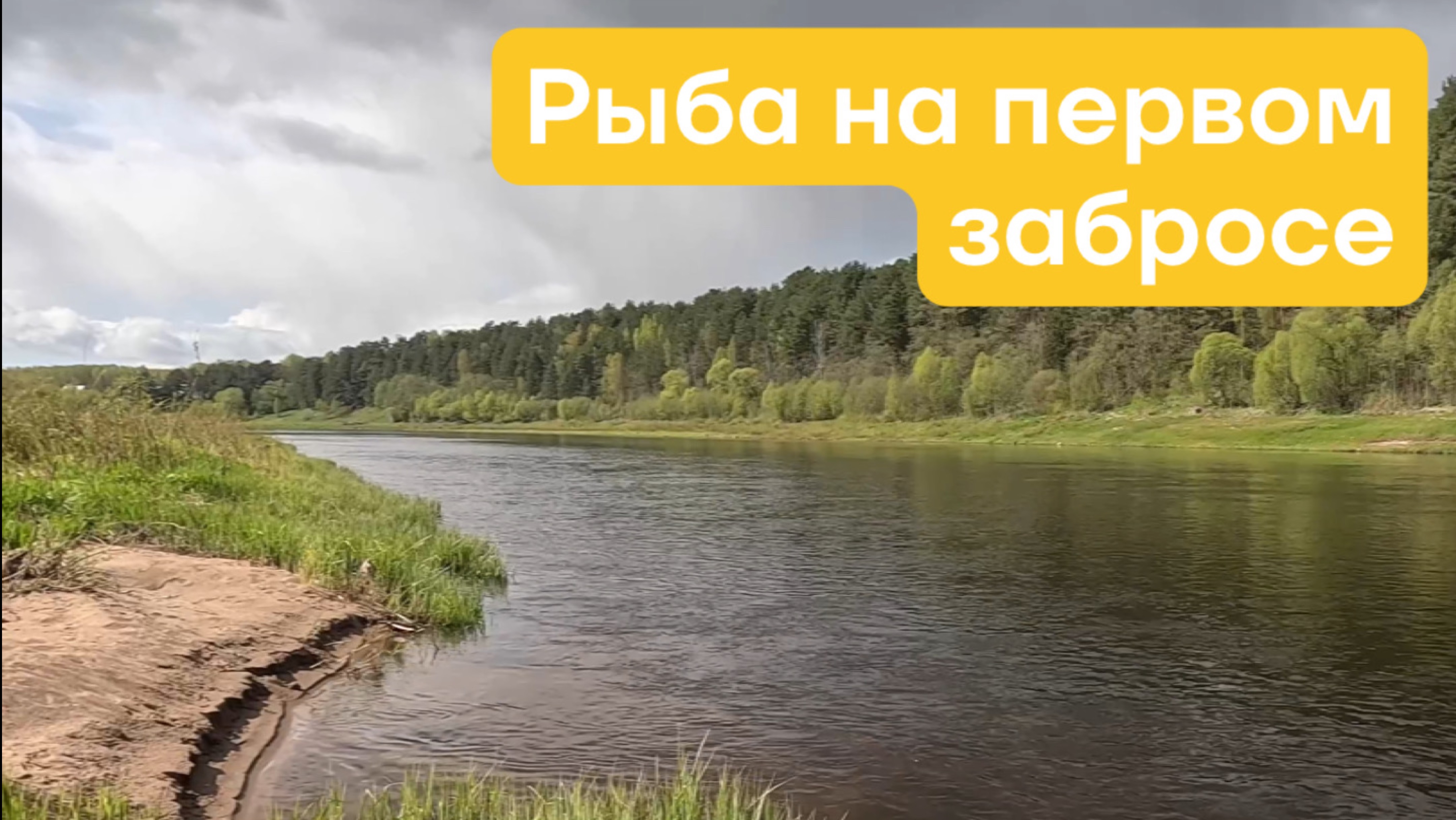 Рыба на первом забросе