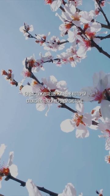 СОЗДАЙ СРЕДУ, ГДЕ ТЕЛО И ДУША МОГУТ ДЫШАТЬ 🌿 | мотивац?