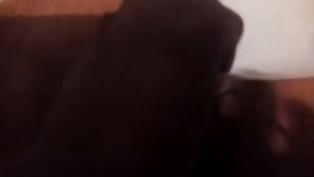 Как сделать УЗИ из бумаги