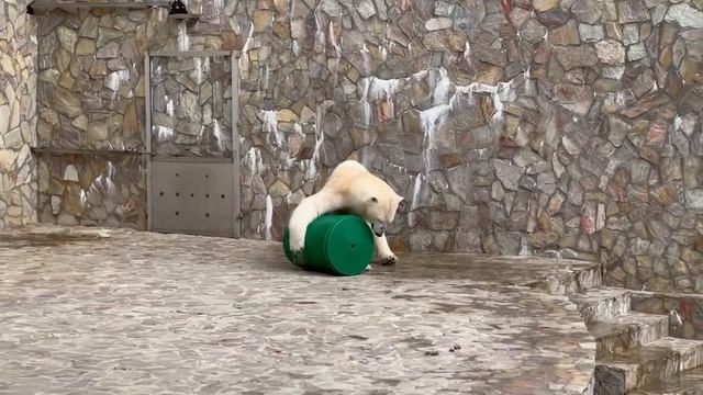1000025241.mp4