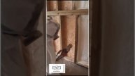 Пена для утепления стен каркасного дома: Утепление напылением пеной
