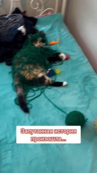 Все самое необходимое в центре города 👍
