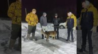 Славино 23.02.25