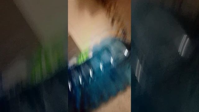 мои животные 1 часть