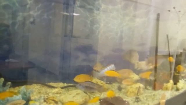 КРАСИВОЕ УСПОКАИВАЮЩЕЕ ВИДЕО