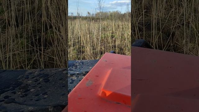 болото на севере Омской области