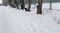 Я всегда помогал, и буду помогать своей семье! А кредит
