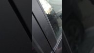 1000109359.mp4