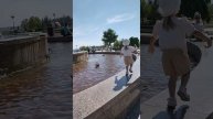 287154.mp4
